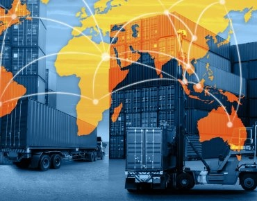 Proje Taşımacılığı